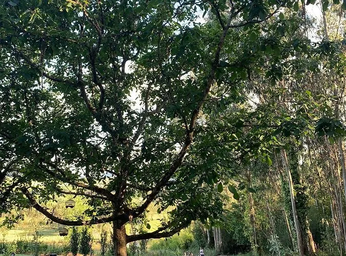 Rurales Garzas De Oyambre Apartamento *